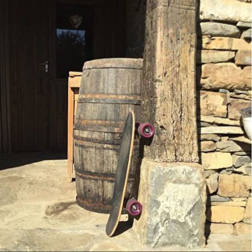 Ridge Skateboards Complete 55cm Maple Wooden Retro 22” Mini Cruiser Board